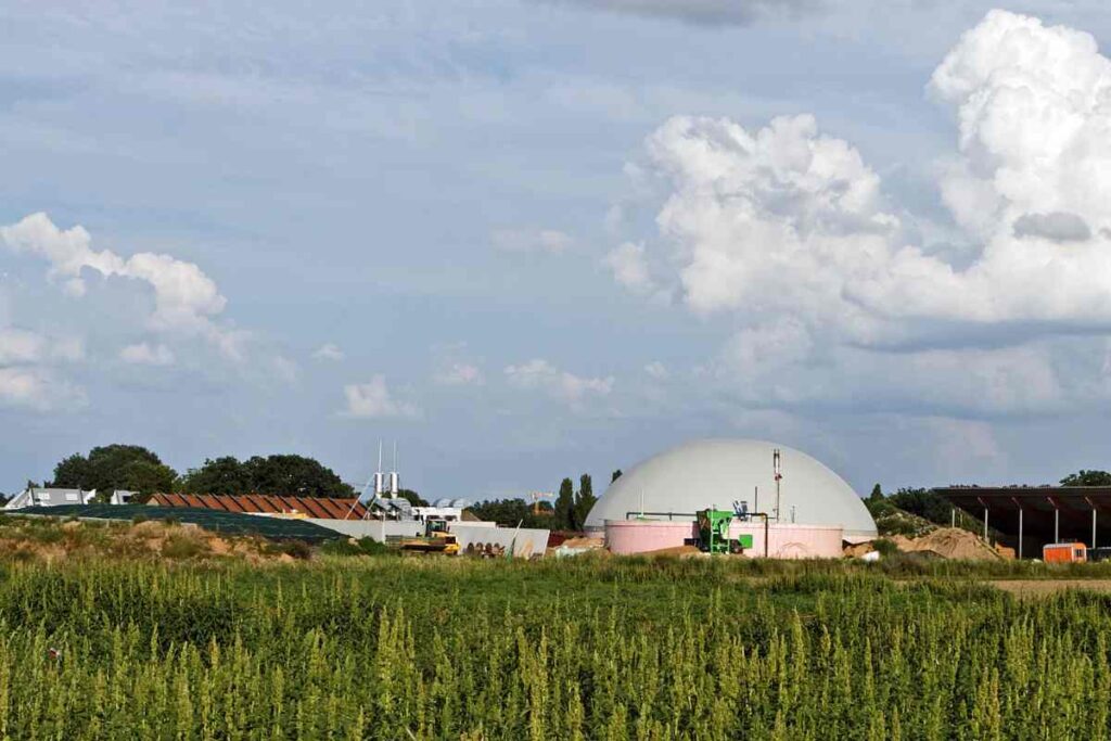 plantas de biometano pros y contras